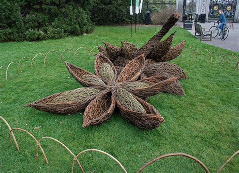 Willow Seed Pod Collage Nature Cosses De Graine Art Environnemental