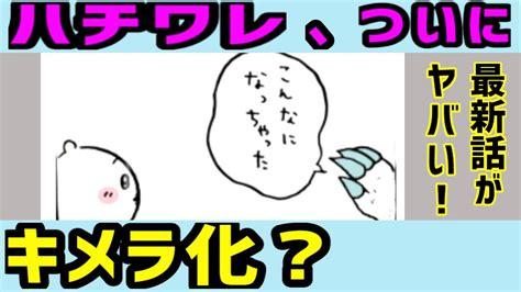 ちいかわ考察ハチワレがキメラ化最新話がエグすぎ不穏回ハチワレの可能性を考察 YouTube