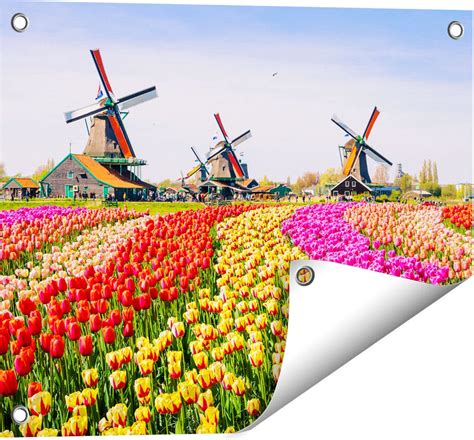 Gards Tuinposter Kleurrijke Tulpen Bloemenveld Windmolen X Cm