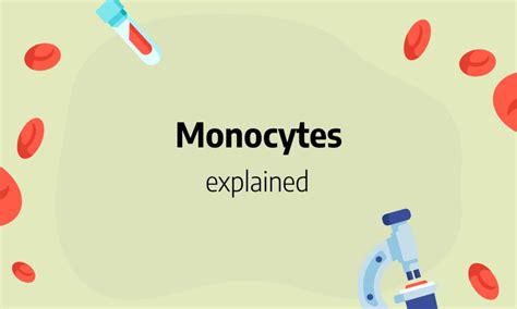 Monocytes: low, high, absolute count and normal range, causes