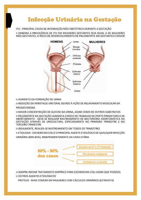 Infecção Urinária Na Gestação Infecção Urinária Na Gestação Itu