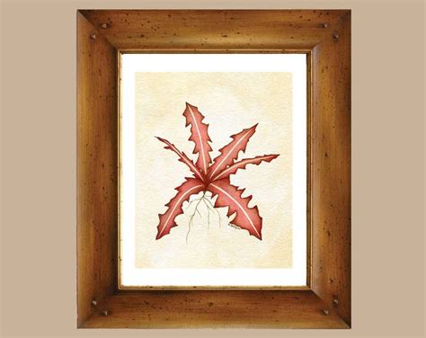 Crimson Nirnroot Elder Scrolls Skyrim Art Print Vintage Botanical ...