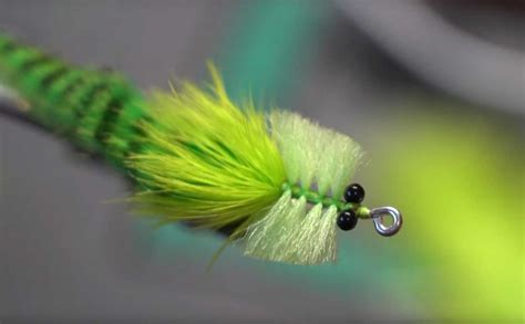 Video Hatch: “3 Tarpon Toad Fly Patterns You Need To Know” | MidCurrent