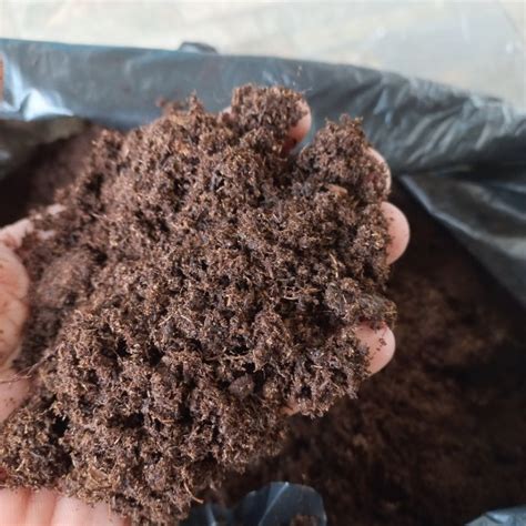 Jual Media Tanam Peat Moss Base Substrate Klasmann Deilmann Kemasan