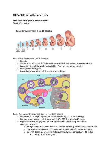 Hoorcollege Thema Foetale Ontwikkeling En Groei Hc Foetale