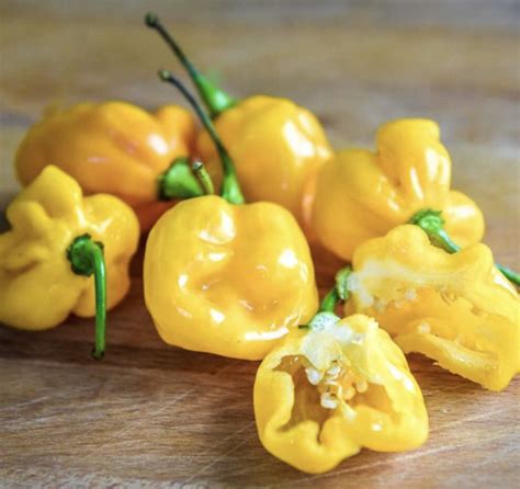 Habanero Varieties Tunersread