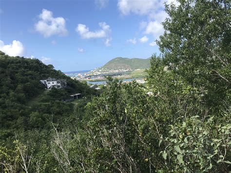 Agriculture The Next Economy In Sint Maarten Stichting Marlin Yard