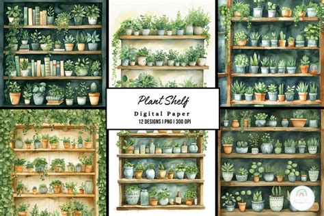 Green Plant Shelf Background