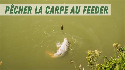 Comment P Cher La Carpe Au Feeder Le Guide Complet P Cher Gros