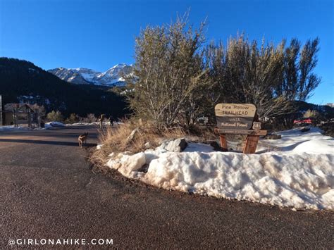 Hiking the Pine Hollow Trail – Girl on a Hike