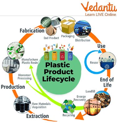 Facts About Plastic | Learn Important Terms and Concepts