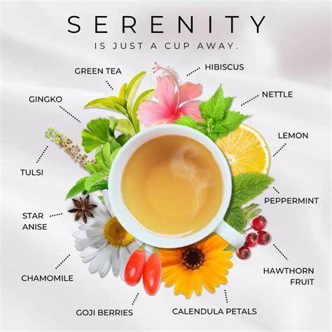 Find Serenity with T. Kettle Loose Leaf Wellness Tea