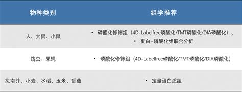 磷酸化修饰组学全面升级 激酶分析与预测轻松复刻 哔哩哔哩