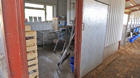 Whats In Your Livestock Shed Purpose Built Calf Housing Farmers Weekly