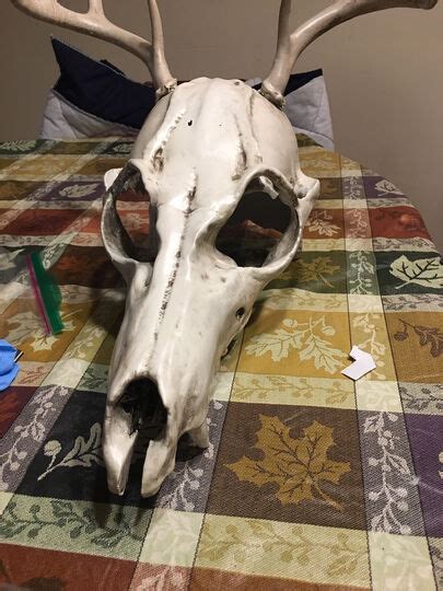 Wendigo Mask 3d Printable Model On Treatstock