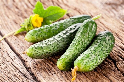 Create Meme Varieties Of Cucumbers Cucumber Is A Plant Common