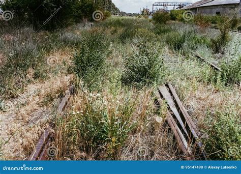 Overgrown Abandoned Railway Stock Photo Image Of Rust Path