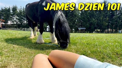 Siodło kulbaka nowa lizawka i smaczki dla konia Wiola i James dzien