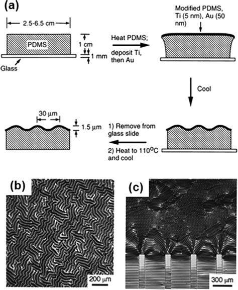 A Fabrication Processes Of Wrinkling Of Metal Thin Film On Pdms