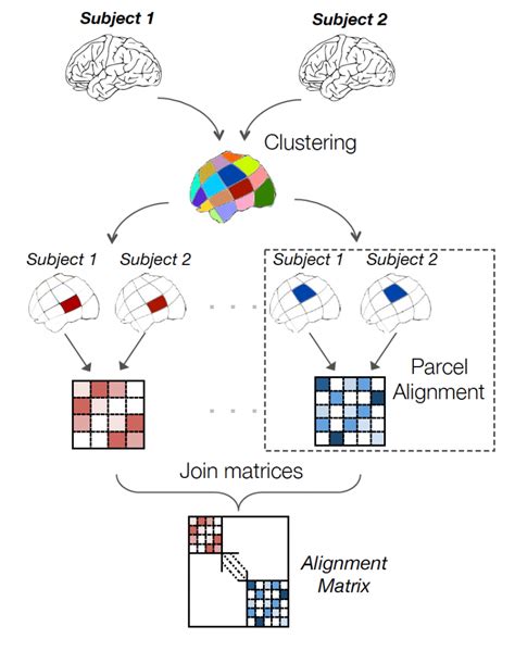 Local Optimal Transport For Functional Alignment Parietal