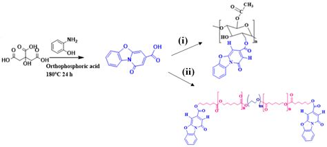 Jfb Free Full Text Novel Injectable Fluorescent Polymeric