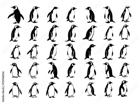 Penguin Svg Bundle Penguin Svg Christmas Penguin Svg Penguin