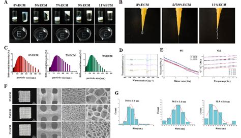 Preparation And Characterization Of The ECM Bioinks And Scaffolds With