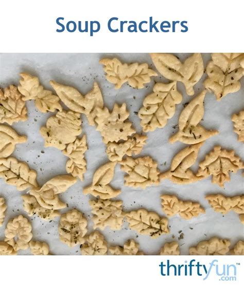 Soup Crackers Thriftyfun