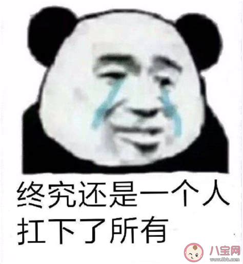 终究还是一个人扛下了所有是什么意思什么梗 终究还是一个人扛下了所有造句 八宝网