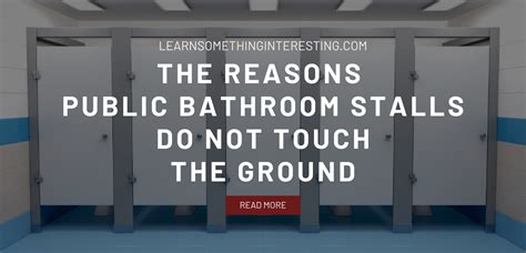 Learn Something Interesting: The Reasons Public Bathroom Stalls Do Not ...