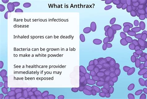 What Is Anthrax And What Makes It Toxic To Humans