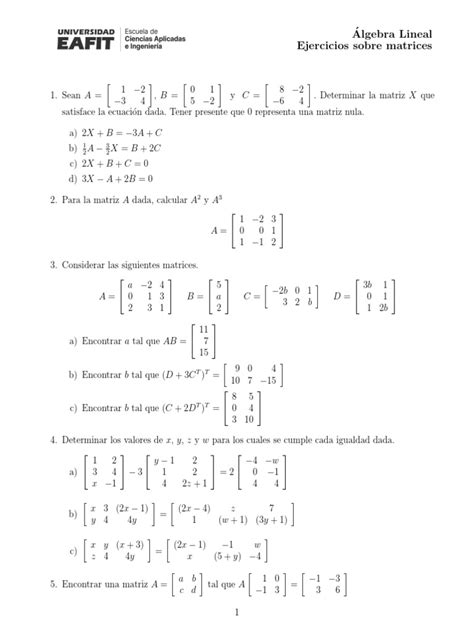 Ejercicios Álgebra Lineal Matrices Pdf Matriz Matemáticas Funciones Y Mapeos