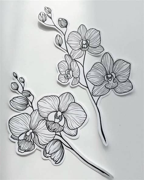 Pin By Tina Simsive On Sketch Orchid Flower Tattoos Orchid Tattoo