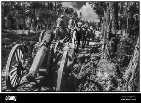 French field artillery Cut Out Stock Images & Pictures - Alamy