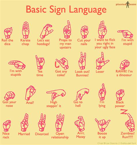 Sign Language Pleated Jeans