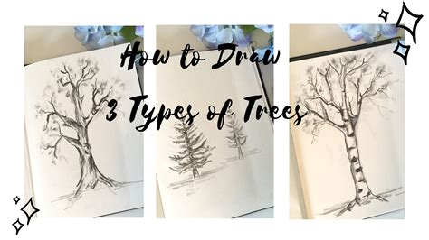 How To Draw 3 Types Of Trees Suzanne Kurilla Skillshare