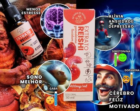 Kit Completo De Extratos Funcionais Reishi Cordyceps Juba De Le O