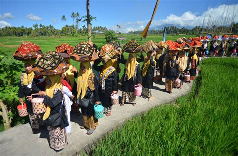 Foto Festival Limo Kaum Malomang Di Tanah Datar Sumbar