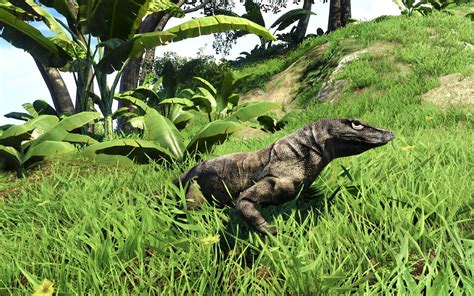 Far Cry 3 Komodo Dragon