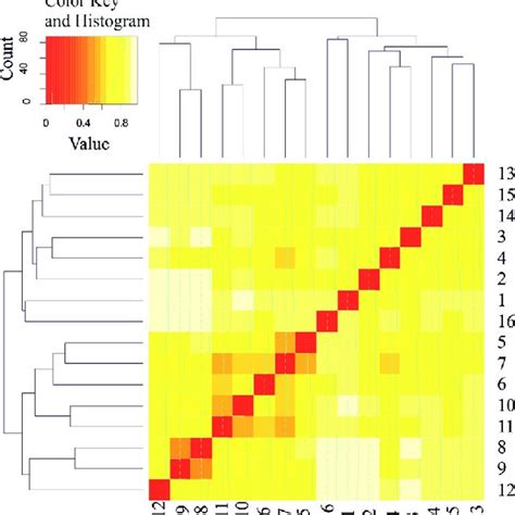 Heat Map Of Distance Matrix Combined With A Dendrogram Cluster