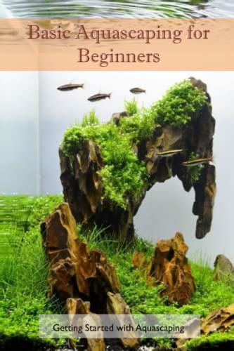 Basic Aquascaping For Beginners Getting Started With Aquascaping By Mr