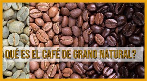 Descubre Los Beneficios Del Cafe NBKomputer