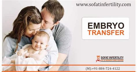 Embryo Transfer Single Embryo Transfer Vs Multiple Embryo Transfer