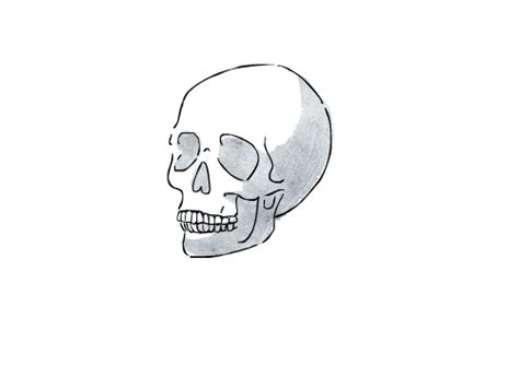 Printed Skull Tag Primo
