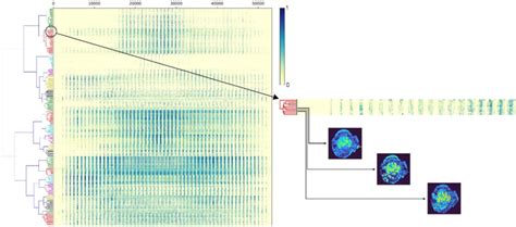 Figure S Four Groups Of Ion Images For Pairwise Similarity