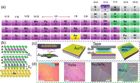 Recent Progress On Fabrication And Flat Band Physics In D Transition