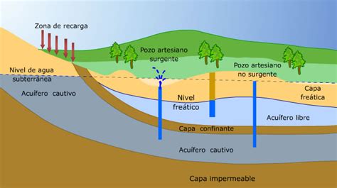 Los Humedales En Colombia Y Su Maravilloso Mundo Natural” ¿quÉ Es Un