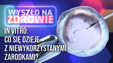 Wszystko Co Chcieliby Cie Wiedzie O In Vitro Ale Bali Cie Si