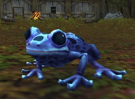Scalawag Frog Npc World Of Warcraft