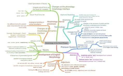 Morphology Of The Noun Phrase Development Of English Morphology Nouns